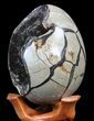 Septarian Dragon Egg Geode - Black Calcite Crystals #40895-2